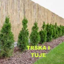 Dostava ogradi ograda od trske i tuje u coloj Srbiji 069 444 5854